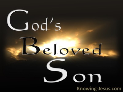 God's Beloved Son (devotional)10-08 (brown)